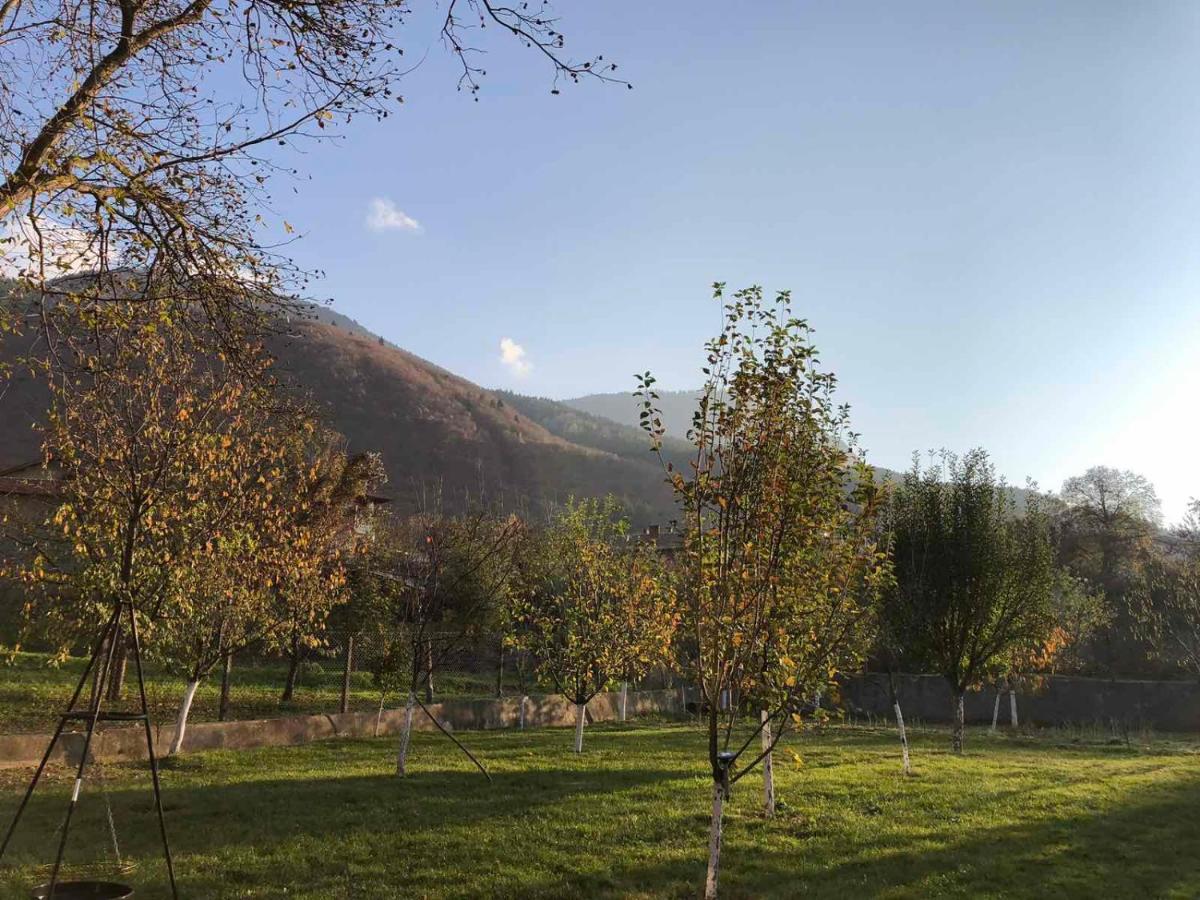 Вила Орехите Dupniza Exterior foto