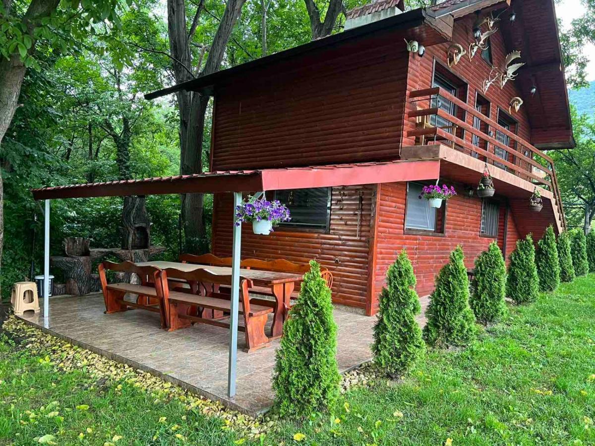 Вила Орехите Dupniza Exterior foto