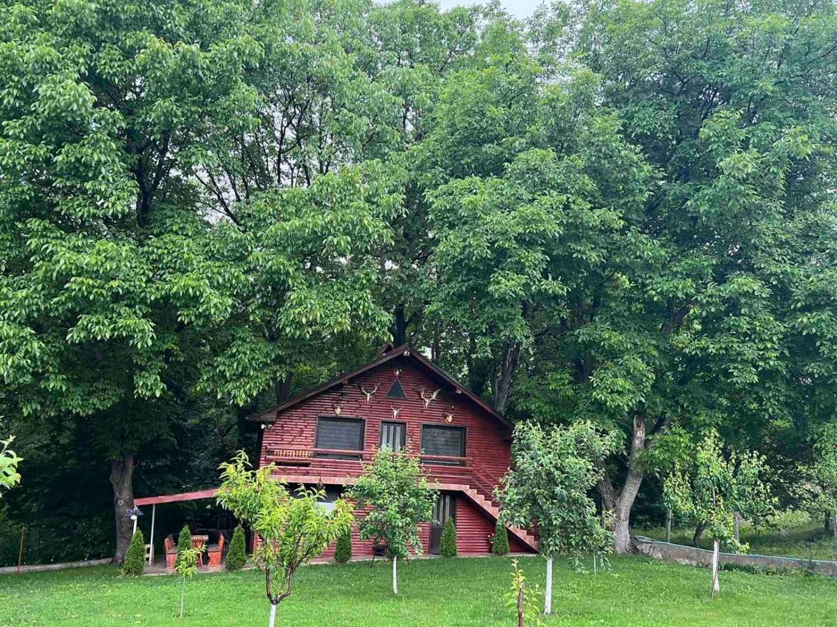 Вила Орехите Dupniza Exterior foto